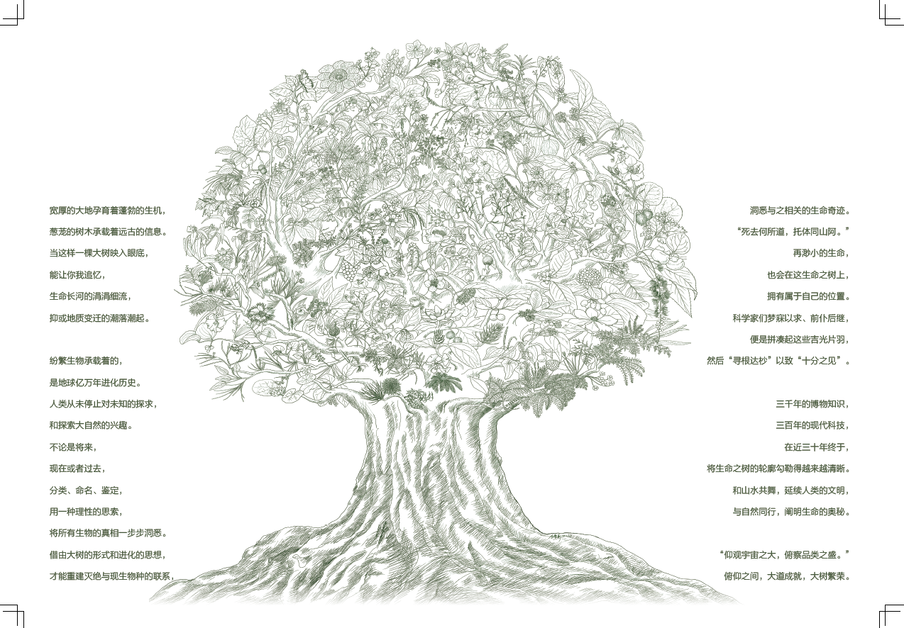 《中国维管植物生命之树》出版发行